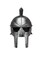 Adult's Deluxe Silver Spartan Helmet Costume Accessory